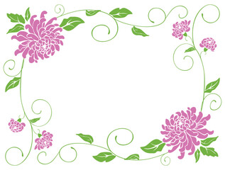 Decorative vector floral frame from pink chrysanthemums with green leaves,tendrils, decoration for greeting cards, invitations