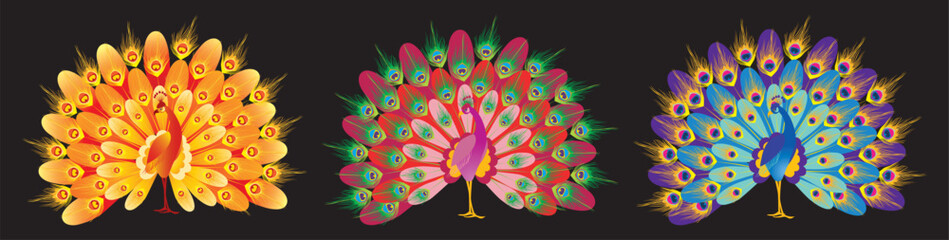 Vector illustration of three decorative fairy tale colorful peacocks with opened tails 