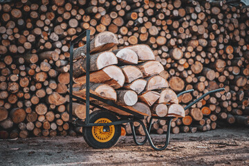 Wood cart with firewood. A wheelbarrow loaded with firewood. In the background there is a long wood.