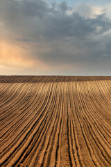 Plowed field and sunset sky landscape