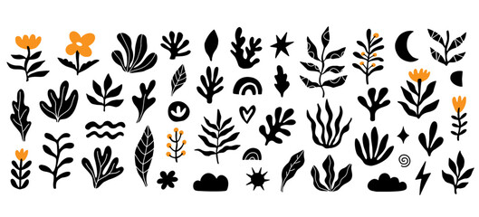 Organic boho floral shapes set abstract plants