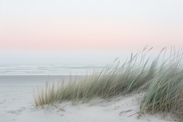 Sand dunes, minimalistic foggy shoreline