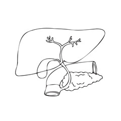 Linear drawing of the liver, pancreas, duodenum and gall bladder. Medical vector illustration