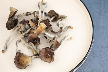 A number of dried mushrooms of the species Psilocybe cubensis Argentina lie on a beige plate.  On a gray background.  Alternative medicine, treatment of depression and other mental illnesses