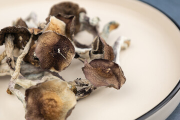 A number of dried mushrooms of the species Psilocybe cubensis Argentina lie on a beige plate.  On a gray background.  Alternative medicine, treatment of depression and other mental illnesses