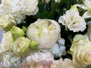 white peony flower used for bride's bouquet
