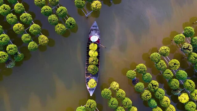 Aerial view of Sa Dec flower garden in Dong Thap province, Vietnam. It's famous in Mekong Delta, preparing transport flowers to the market for sale in Tet holiday. The gardens are tourist destination