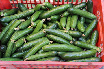 Vegetables and fruits are sold in January at the bazaar in Tel Aviv.