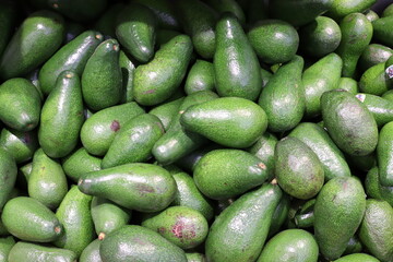 Vegetables and fruits are sold in January at the bazaar in Tel Aviv.