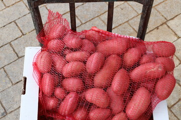 Vegetables and fruits are sold in January at the bazaar in Tel Aviv.