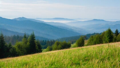 Fototapeta na wymiar mountainous rural landscape of ukraine with grassy meadow on a misty morning in summer green carpathian countryside scenery with forest behind the pasture on a hill fog in the distant valley