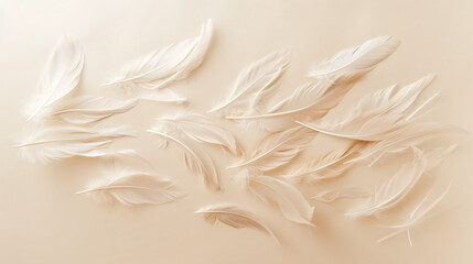 An artistic flat lay of feathers arranged to depict a bird in flight.