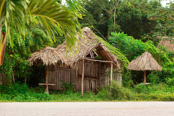 Fototapeta na wymiar typical wooden shed with thatched roof of the native Maya in dense, shady tropical jungle of the Yucatan
