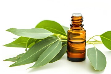 Amber bottle containing Eucalyptus Essential Oil with green leaves isolated on white