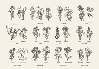 Line art birth month flowers collection