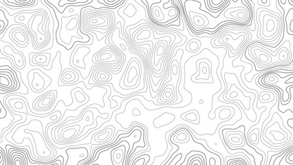 abstract pattern with lines. background of the topographic map. elevation contouring outline cartography texture. geographic abstract grid. futuristic wireframe landscape background