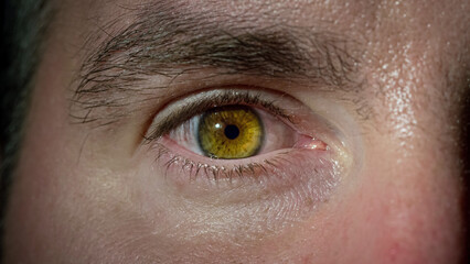 Human eye movement, opening and blinking of a male eye with brown iris, focusing on the camera,...