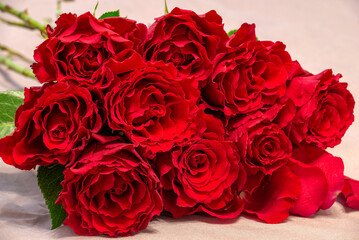 A beautiful bouquet of scarlet roses