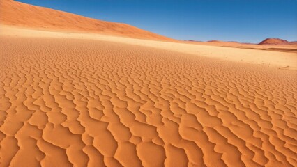 Dry ground textures in desert