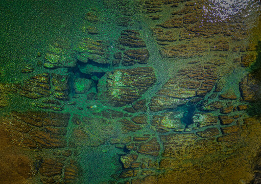 Salt Springs Aquifers, Ocala National Forest