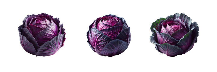 Obraz premium Set of red cabbage, isolated over on transparent white background