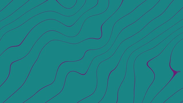 Wavy puple Lines Motion Graphic on sea green abstract background animation. Enhance your visual projects Backgrounds. Animation of seamless loop backgrounds. Cartographic line background. 4k quality.