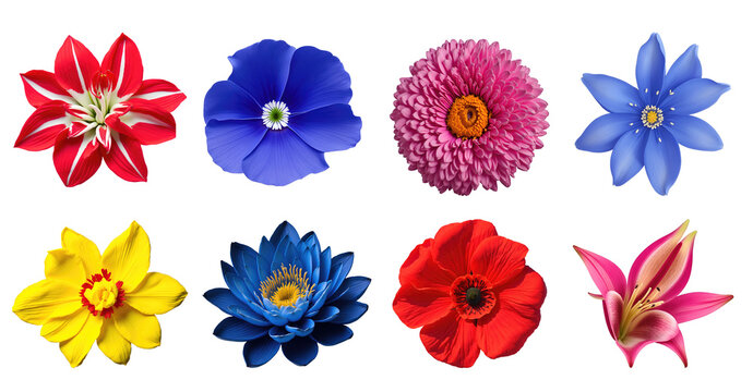 Set of various exotic tropical blooming flowers isolated on transparent background. Generative AI