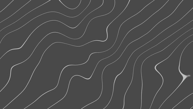 Wavy white Lines Motion Graphic on grey abstract background animation. Enhance your visual projects Backgrounds. Animation of seamless loop backgrounds. 4k quality. Cartographic line background.