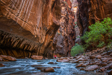 Hiking, The Narrows, Zion National Park, Utah