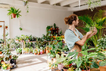 Shop assistant working in indoor potted plant store, small business concept.