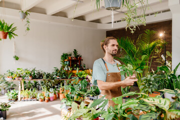 Shop assistant working in indoor potted plant store, small business concept.