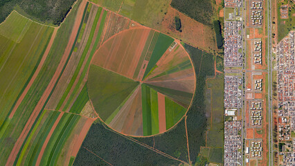 Food safety and population, circular fields and city border, looking down aerial view from above, bird’s eye view center pivot irrigation system and city side by side, Brazilya, Goias, Brazil