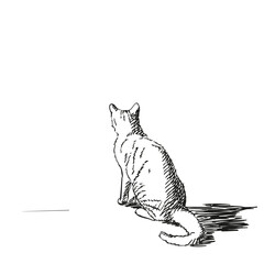Back view of a sitting cat, freehand drawing, hand drawn pet vector illustration