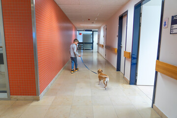 Boy with his dog going to visit a patient in a hospital
