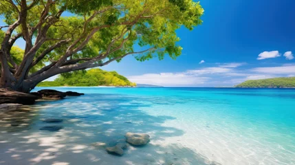 Photo sur Plexiglas Anse Source D'Agent, île de La Digue, Seychelles Palm and tropical beach blue sea.