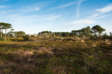 Joli paysage de mer à Ploumanac'h en Bretagne - France