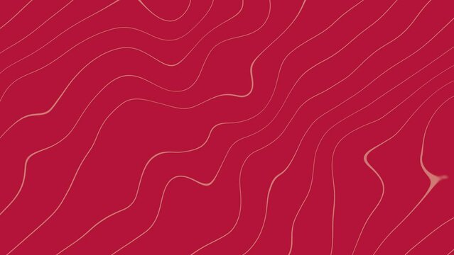 Wavy pink Lines Motion Graphic on red abstract background animation. Enhance your visual projects Backgrounds. Animation of seamless loop backgrounds. 4k quality. Cartographic line background.