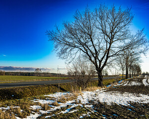 bezdroza, Kaszuby © Przemyslaw