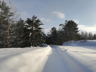 Obraz premium snowy path with trees and blue sky.