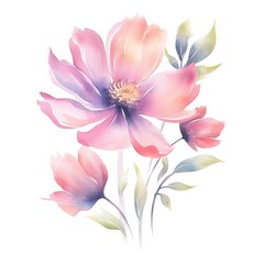 Fototapeta premium watercolor flowers, illustrations in handmade watercolor style on a white background, generative ai 