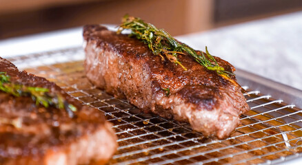 Beef steak grilled fillet meat with rosemary. Homemade cooking beef steak, serving food for restaurant, menu, advert or package, close up, selective focus - 723255290