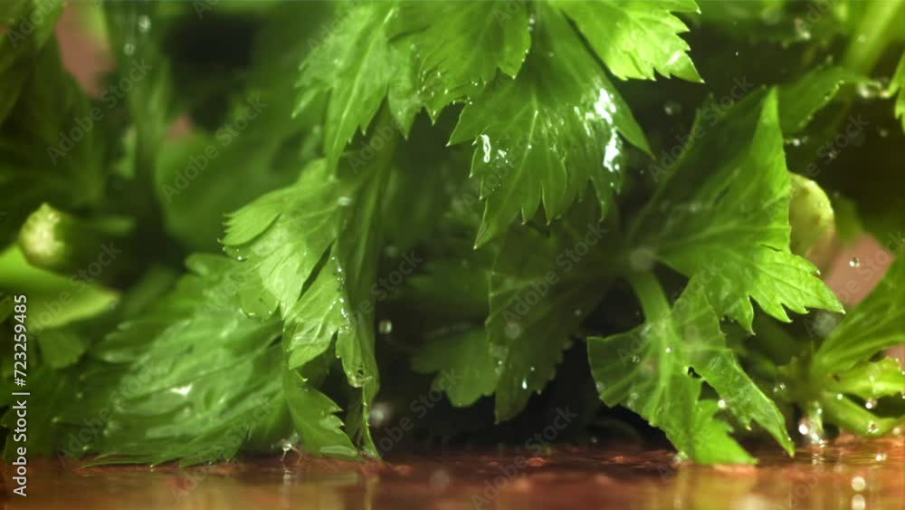 Sticker Drops of water fall on fresh celery. Filmed on a high-speed camera at 1000 fps. High quality FullHD footage