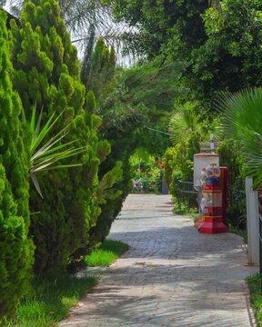 The garden has a wooden table and chairs. It is located in the country of Morocco