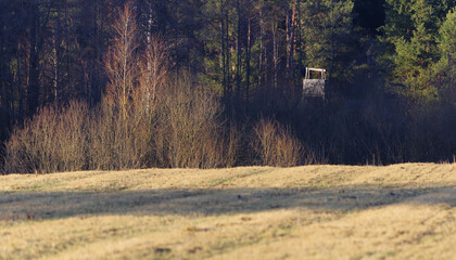 Ambona myśliwska w lesie, polowanie. © Adam Sadlak