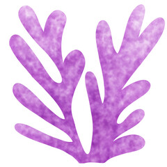 Purple coral