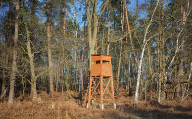 Photo of a deer hunting tower at the edge of the forest.