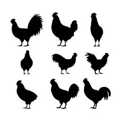 Chicken black silhouette. Different types of hen silhouette set and vector art