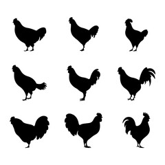 Chicken black silhouette. Different types of hen silhouette set and vector art