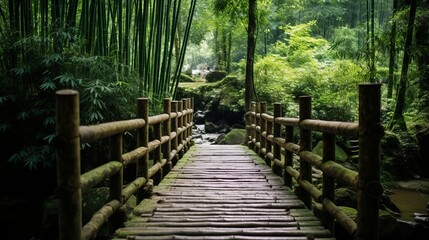 Wooden bridge in bamboo forest