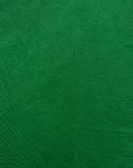 Green Exotic ostrich texture
